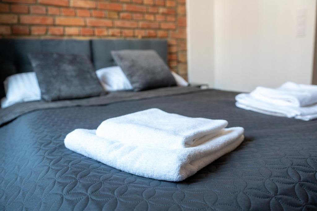 Kamienica1899 - Budget Double Room