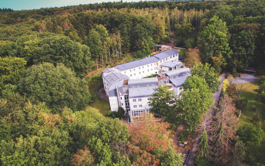 Příroda nedaleko hotelu