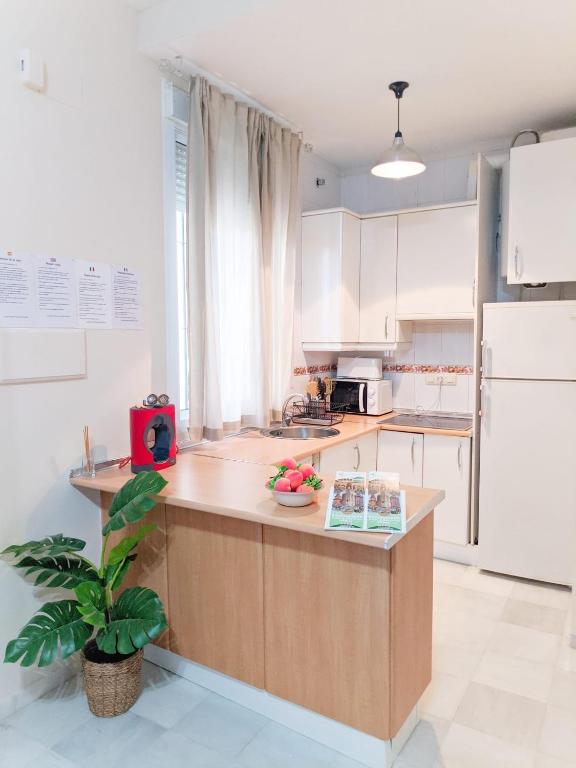 Cuarta Revuelta Alquiler - 10