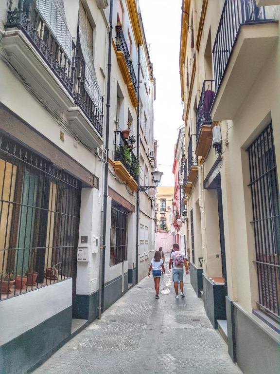 Cuarta Revuelta Alquiler - 6