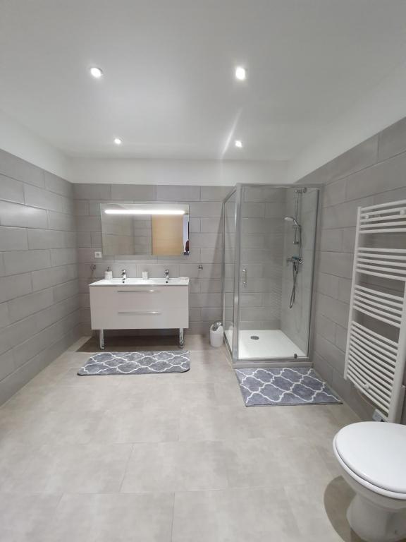 een badkamer met een douche, een wastafel en een toilet bij casa muriel in Vescovato