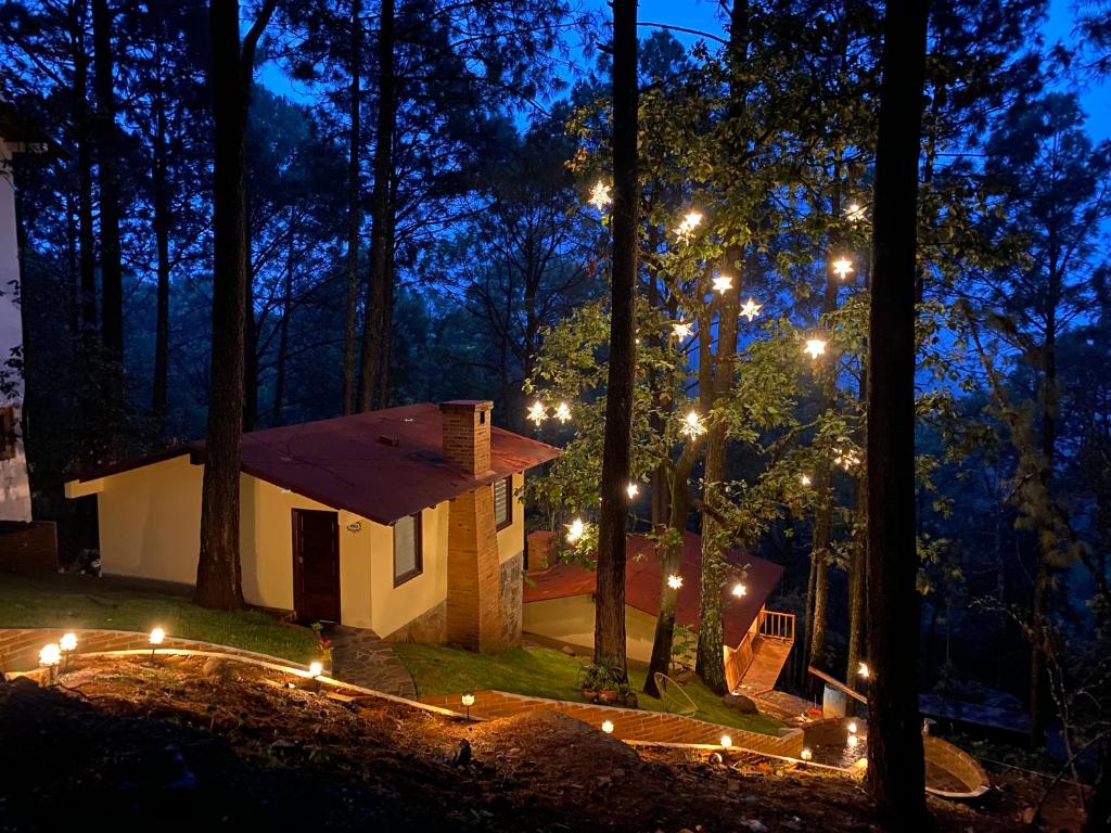 a cabin in the woods at night with lights at Cabañas VIP Mazamitla in Mazamitla