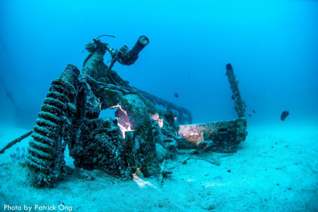 Hosté ubytování Borneo Divers Mabul Resort