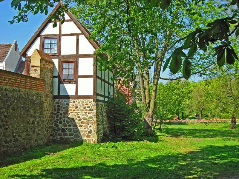 a house with a stone wall and a tree at Wiekhaus 49 in Neubrandenburg
