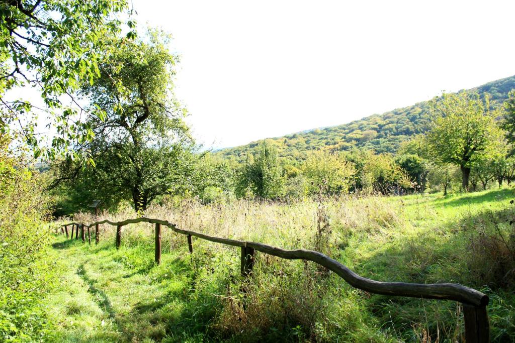 Příroda nedaleko penzionu – hostince