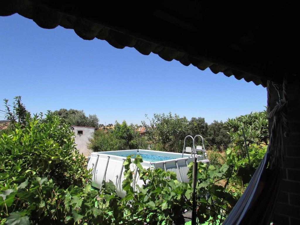 Blick auf den Pool vom Garten aus in der Unterkunft C M Casa de Mares Alojamento Local in Casas Novas de Marés