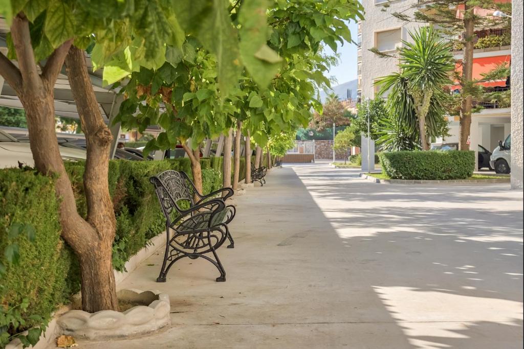 Vonkajšia záhrada v ubytovaní Sur Suites Alhambra