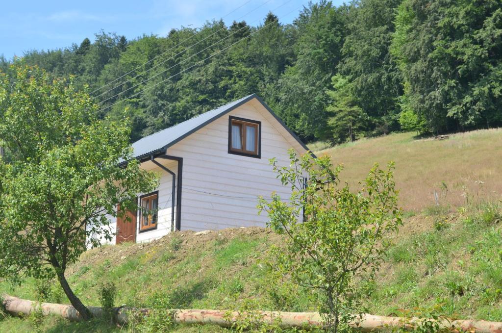 ein kleines weißes Haus auf einem Hügel mit Bäumen in der Unterkunft Domek Zacisze Gór Słonnych in Tyrawa Wołoska