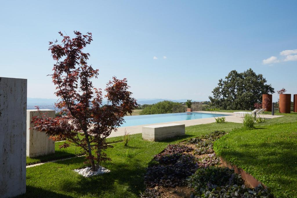 a garden with a tree and a swimming pool at Grandono Agriturismo in Maremma in Scansano