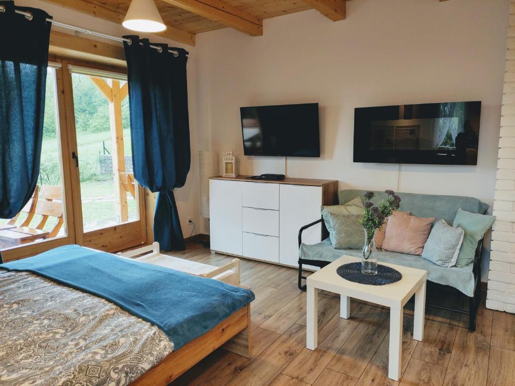 Televízia a/alebo spoločenská miestnosť v ubytovaní Apartament Borowikowe Zacisze
