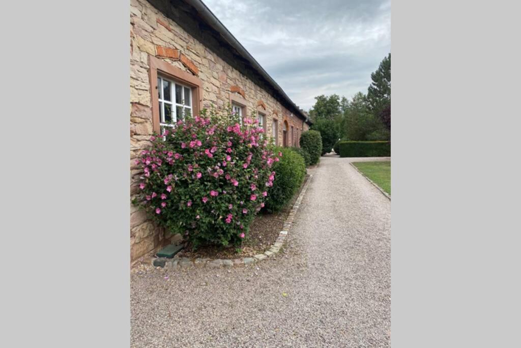 un edificio con un arbusto de flores rosas al lado de un edificio en LE MOULIN DE GRESSWILLER, en Gresswiller