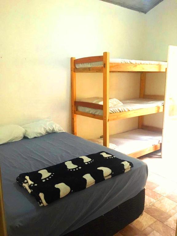  Hostel Brazil Backpackers