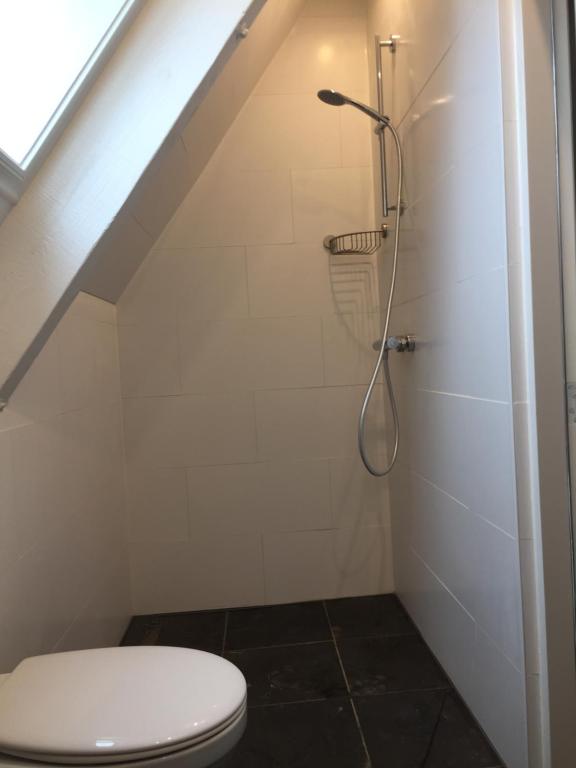 a bathroom with a toilet and a shower at Vakantiehuis Idylle aan Zee, privé SAUNA in Sint Maartensvlotbrug