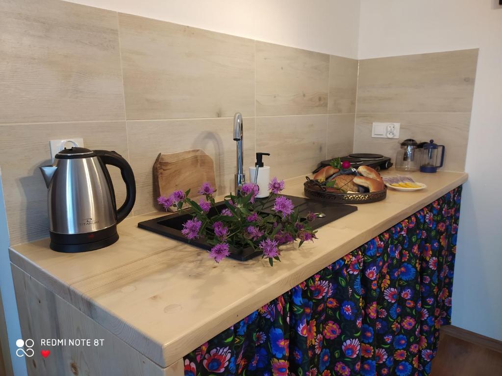 Apartamenty Soszów - 5