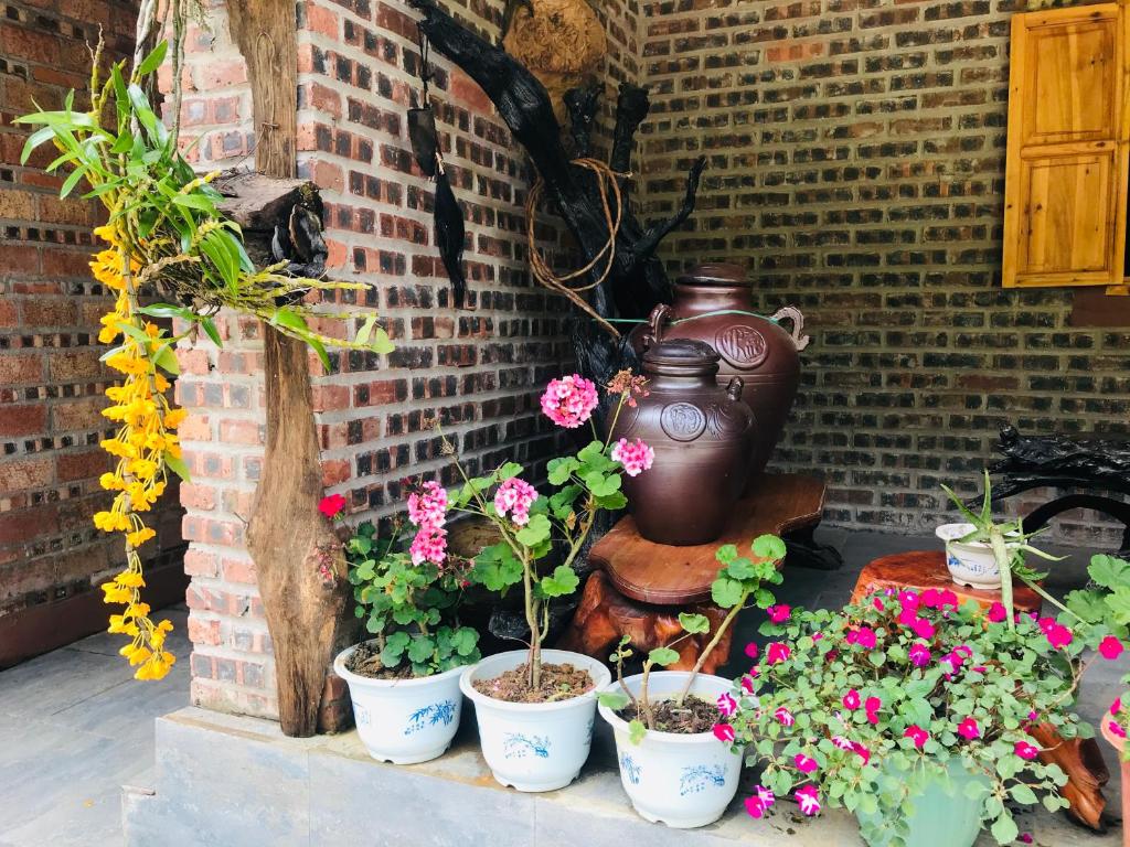 Little Yen's Homestay - 12