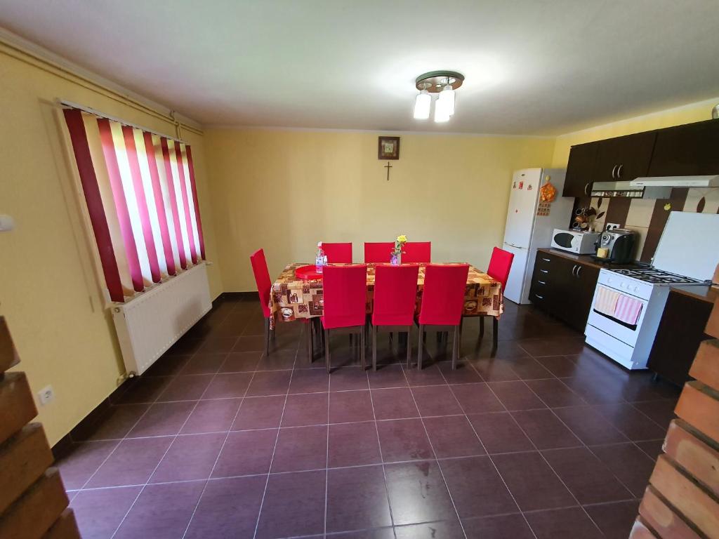Kuchyň nebo kuchyňský kout v ubytování Casa Monika Ciocarliei