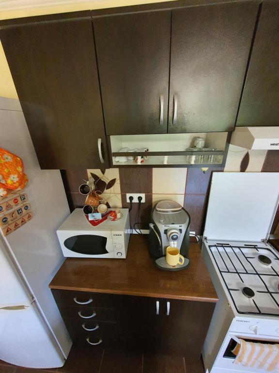 Kuchyň nebo kuchyňský kout v ubytování Casa Monika Ciocarliei
