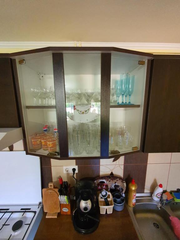 Kuchyň nebo kuchyňský kout v ubytování Casa Monika Ciocarliei