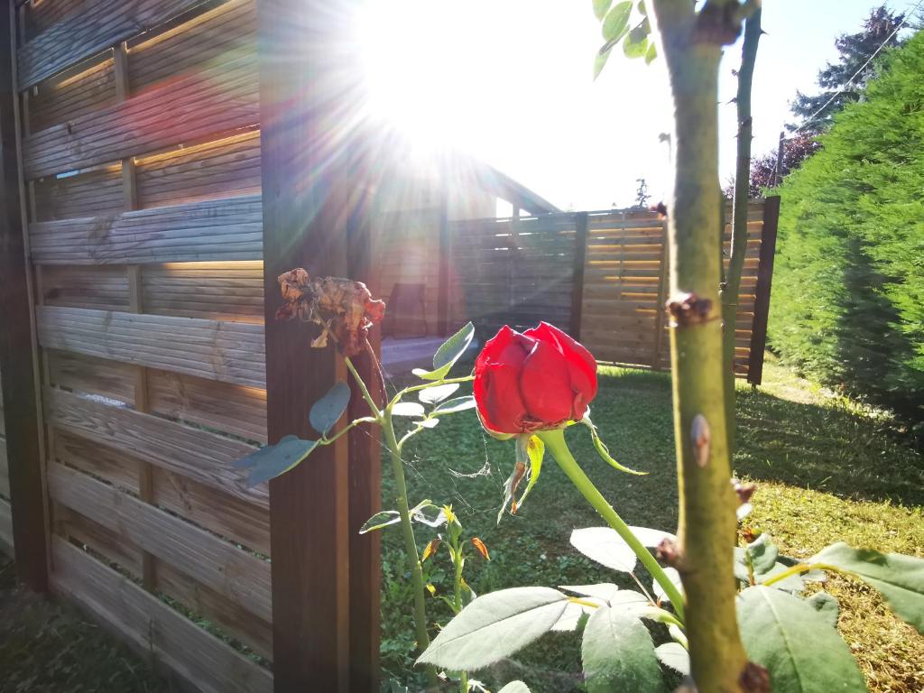 Zahrada ubytování Vali néni kifőzde és apartman