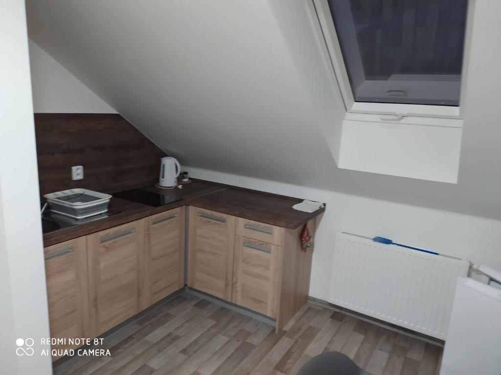 Kuchyň nebo kuchyňský kout v ubytování Apartmán u Davida