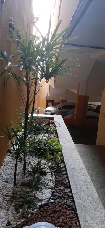  Atlântico Flat - Apto 01