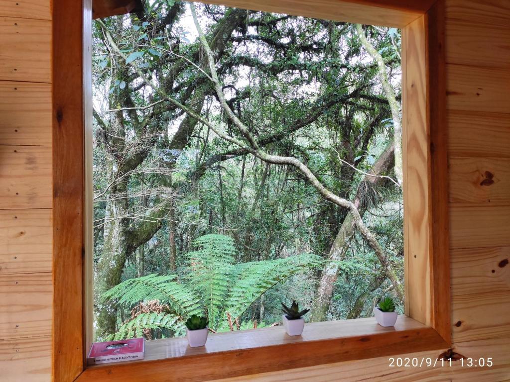 Bangalô do Xaxim  Bangalô do Xaxim