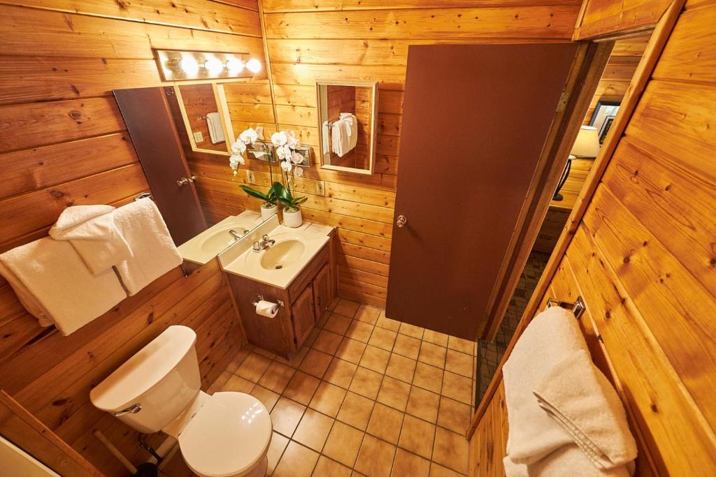 Koupelna v ubytování Castle Mountain Chalets
