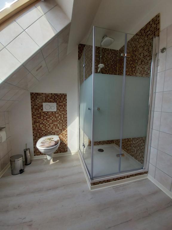 La salle de bains est pourvue d'une douche en verre et de toilettes. dans l'établissement Ferienwohnung Urlaub mit Pferd, Hof Müggenburg, à Stüdenitz