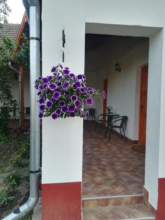 Zahrada ubytování Négy Tücsök Vendégház