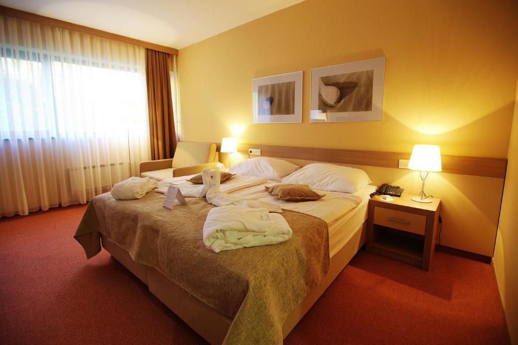 Terme Olimia - Hotel Breza - 特别优惠 - 双人间，带有热风包装