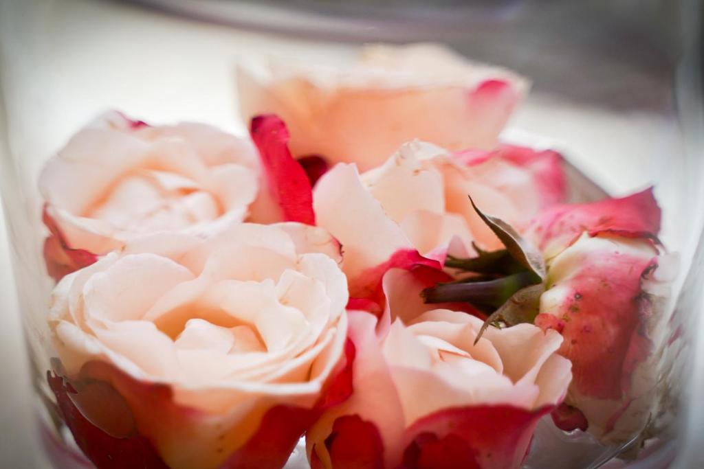 Hotel im Kupferkessel - Resim 16