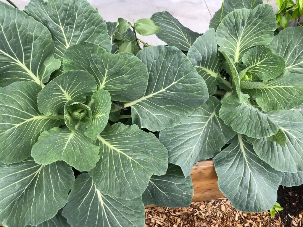 Eklo Bordeaux Centre Bastide - Resim 20