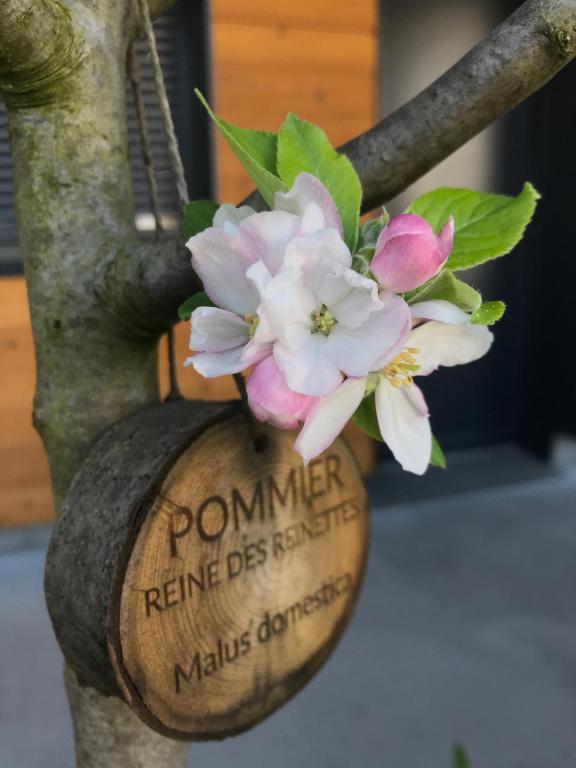 Eklo Bordeaux Centre Bastide - Resim 21