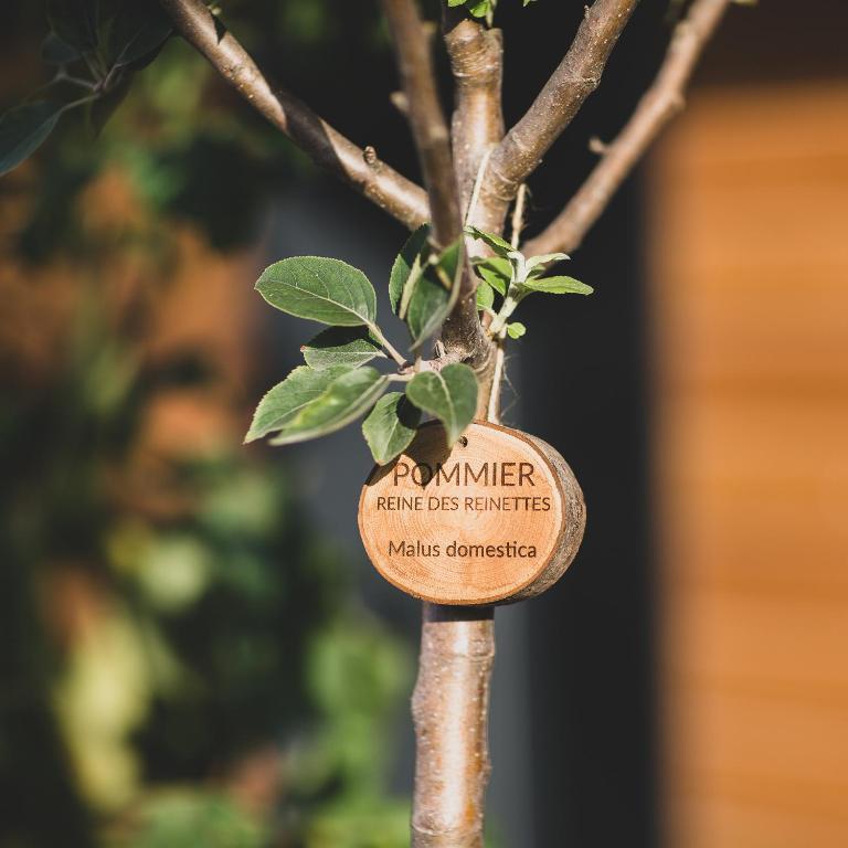 Eklo Bordeaux Centre Bastide - Resim 13