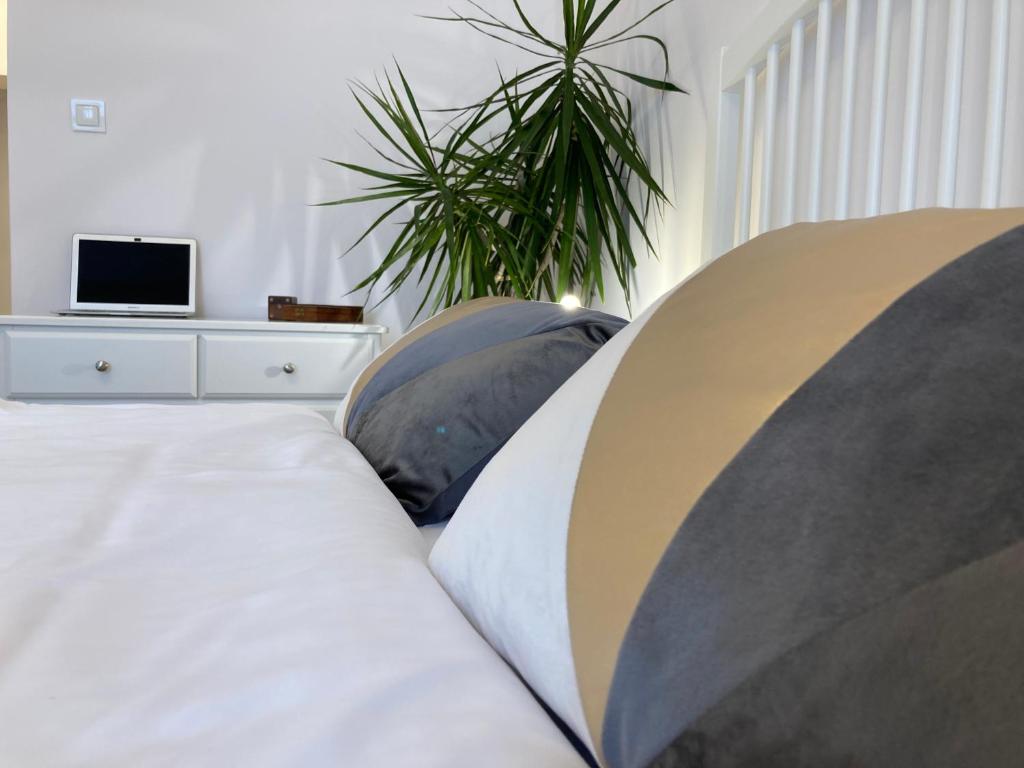 1 dormitorio con cama, planta y TV en Duo 2 Debniki Apartment en Cracovia