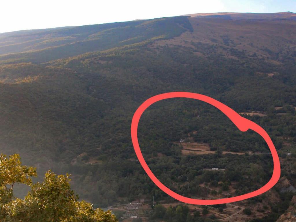 una vista aérea de un bosque con un círculo rojo en Cortijo el Tesoro, en Busquístar