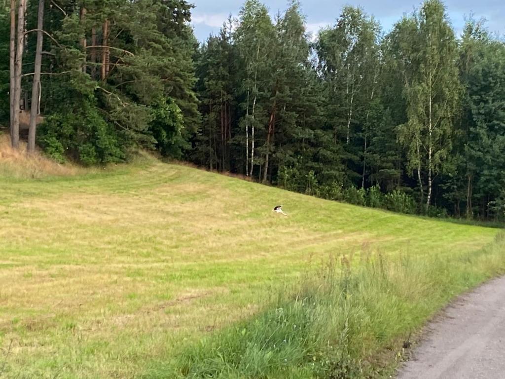 Príroda v okolí dovolenkového domu