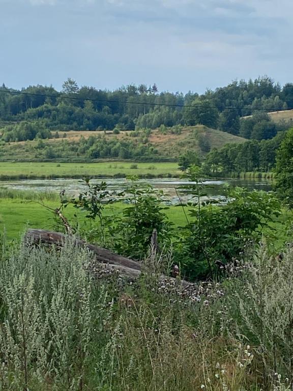 Príroda v okolí dovolenkového domu