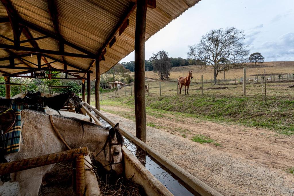  Hotel Fazenda Colina dos Sonhos