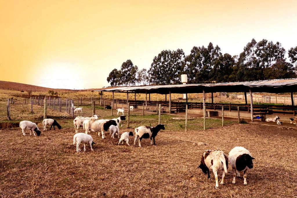  Hotel Fazenda Colina dos Sonhos