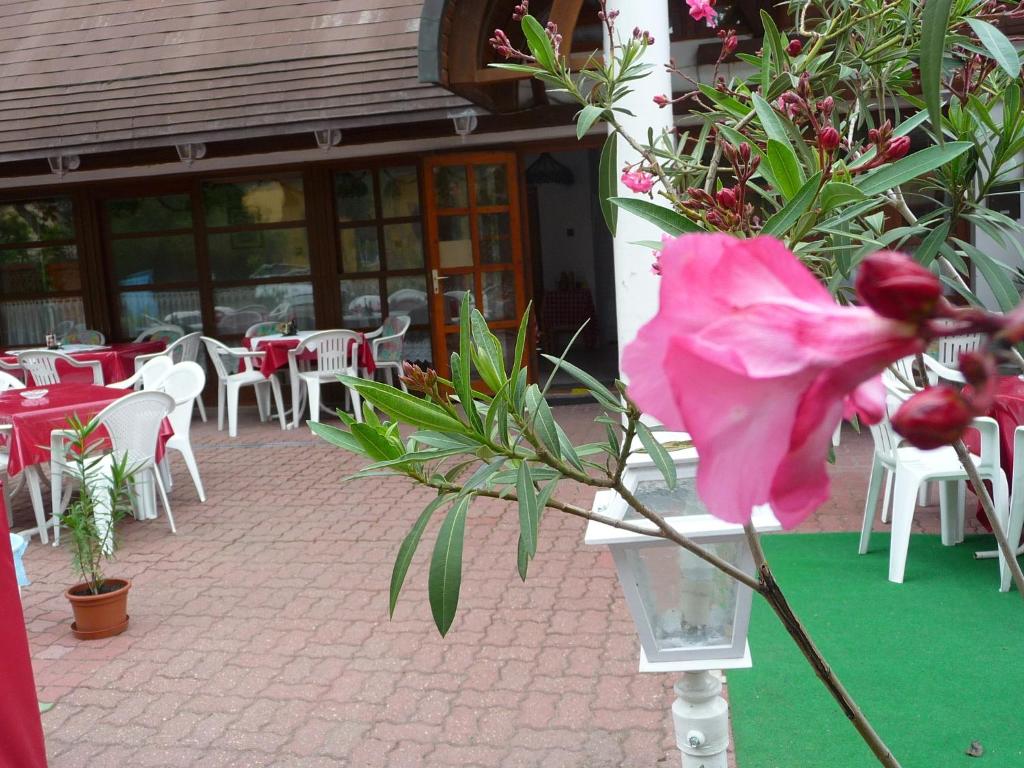 Restaurace v ubytování Oleander B&B