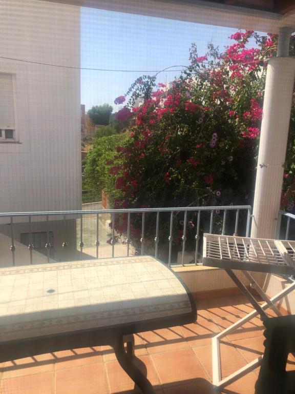 a balcony with a bench and flowers on a building at Casa Darwin in San José