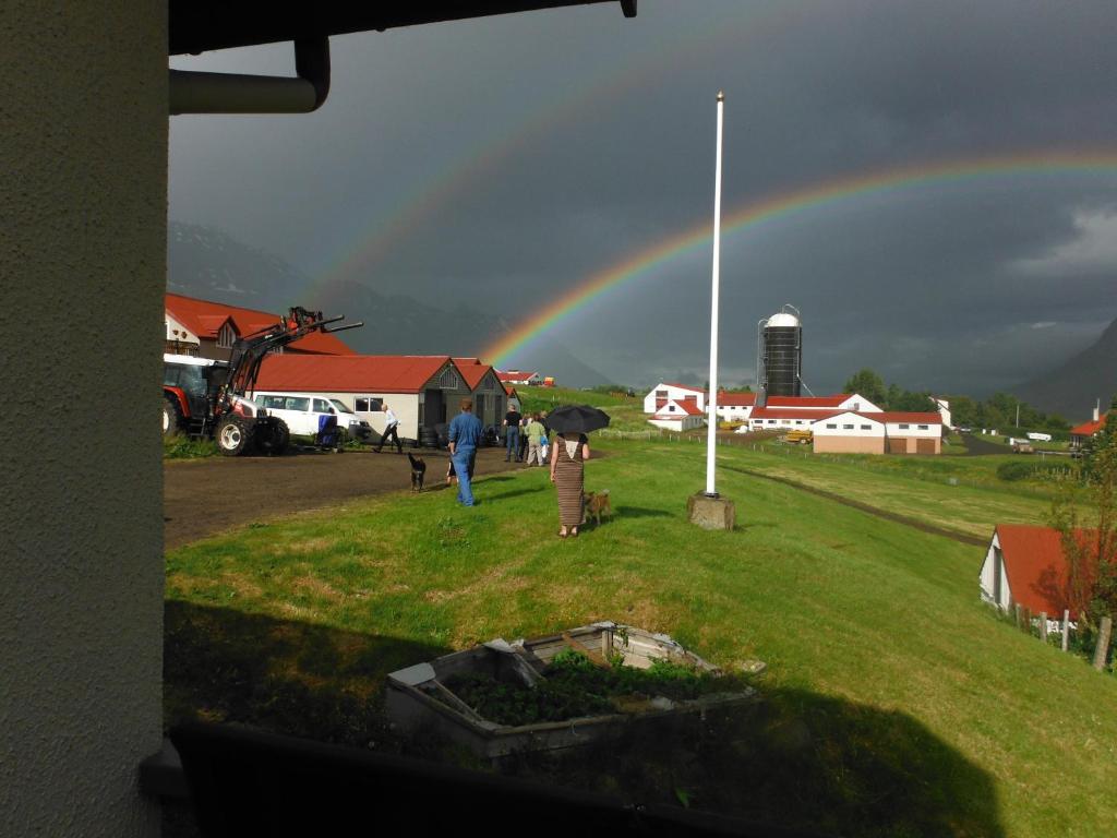 Fotografie z fotogalerie ubytování Skorrahestar v destinaci Neskaupstaður