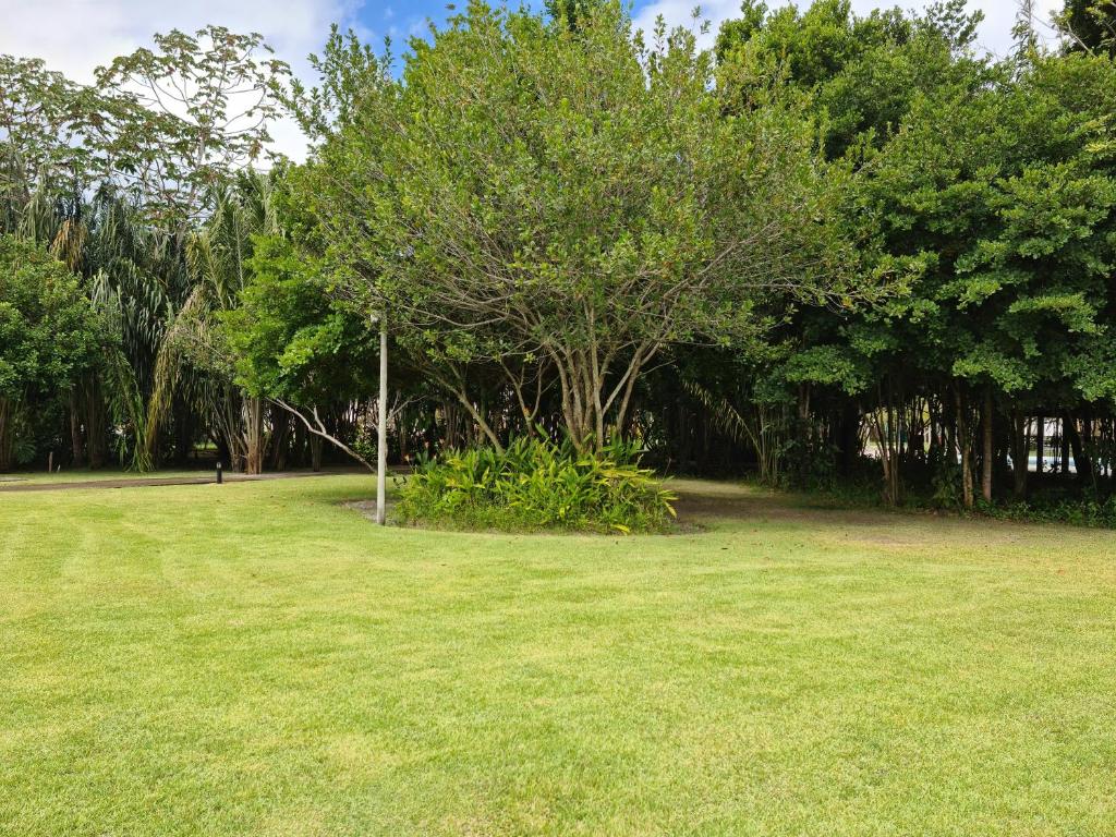MELHOR APARTAMENTO DO ILOA RESIDENCE BARRA de SÃO MIGUEL - Apartment Mit 2 Schlafzimmern
