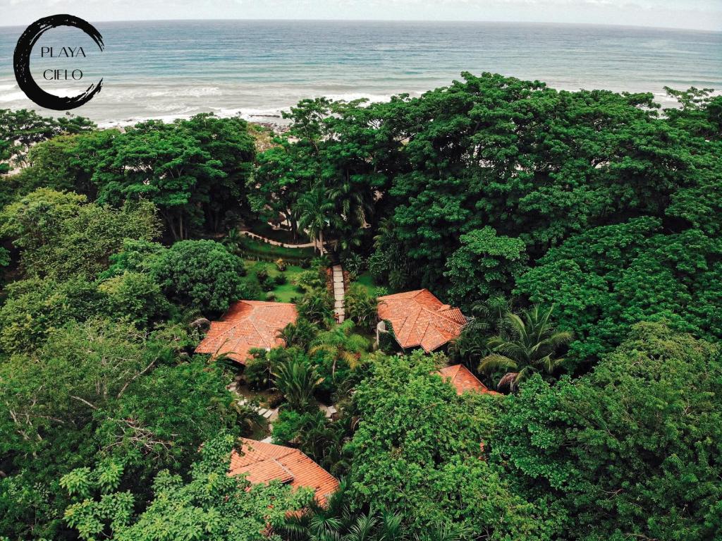 an aerial view of a garden with trees and the ocean at Playa Cielo Beach Front hotel in Santa Teresa Beach