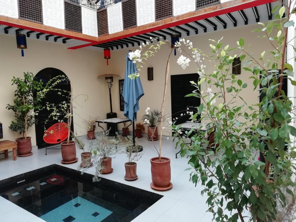 a patio with potted plants and a swimming pool at Riad JEREMY in Marrakech
