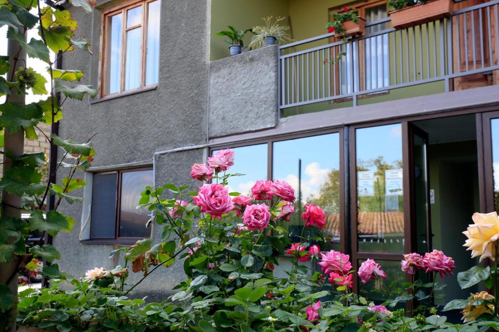 Zahrada ubytování Bucha`s Guest House & Wine Cellar
