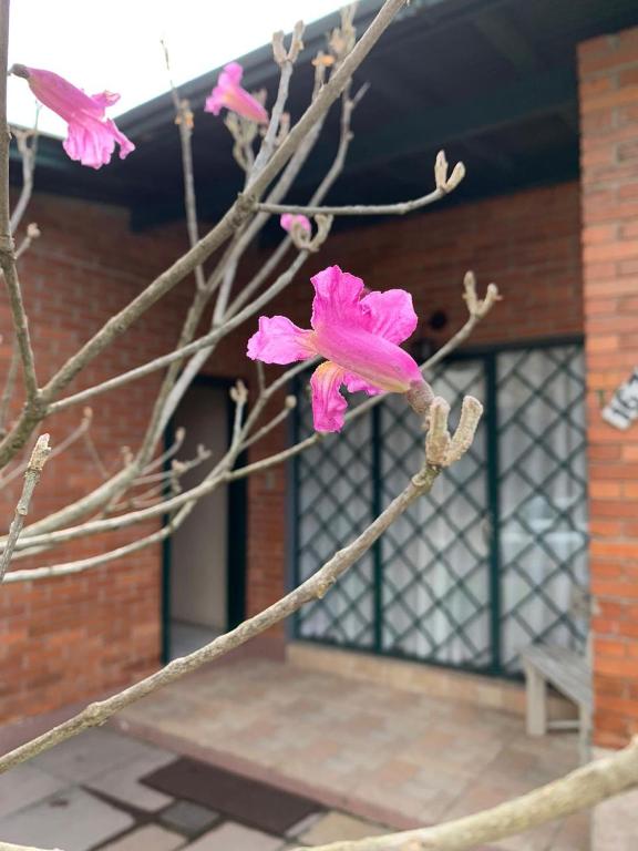 Flats House Gramado  Flats House Gramado