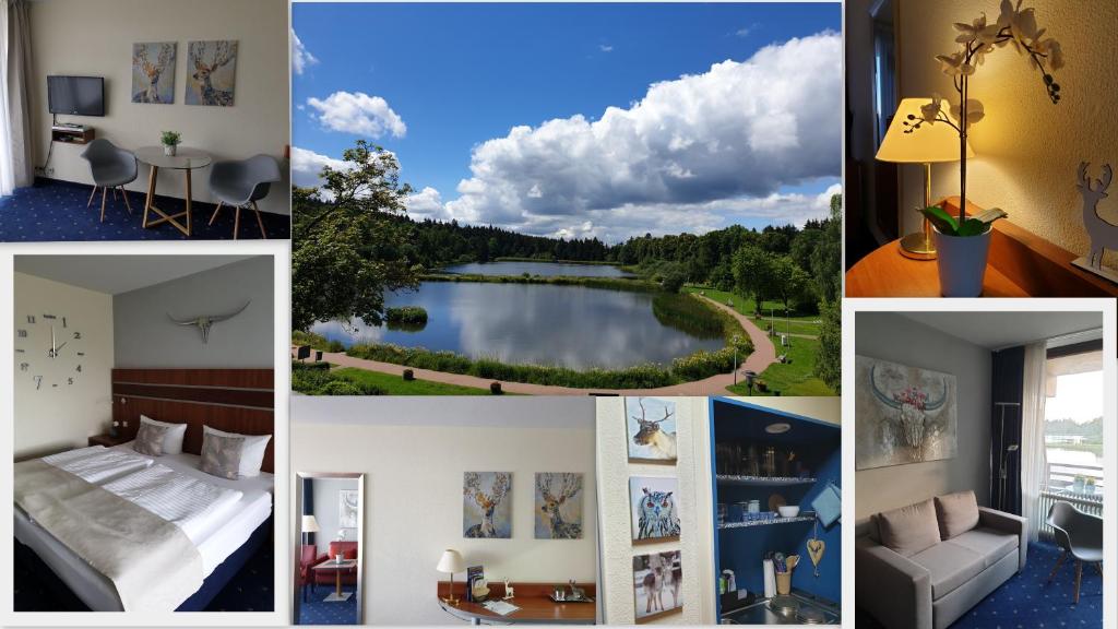 un collage de fotos de una habitación de hotel con un lago en Apartment am Kranichsee Vier Jahreszeiten, en Hahnenklee-Bockswiese