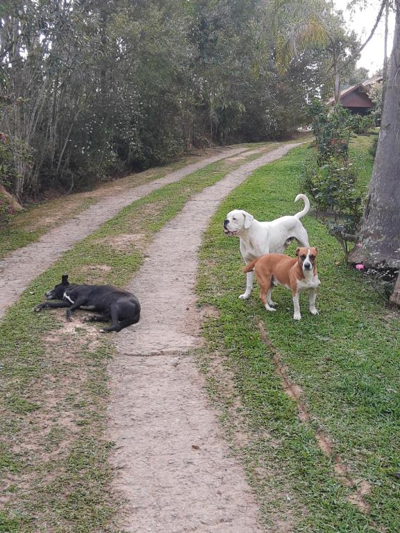  CHÁCARA QUEDINHA D'ÁGUA